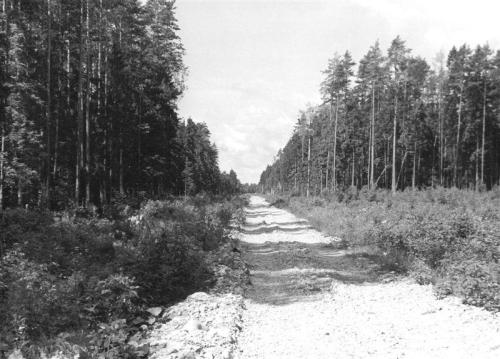 tee R ksist metsa 1970a